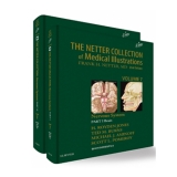 THE NETTER COLLECTION OF MEDICAL ILLUSTRATIONS: 신경계통 (2권 Set)